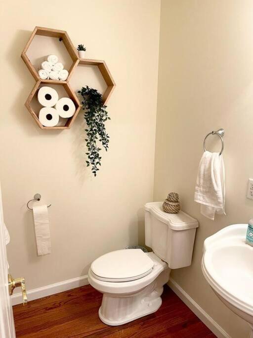 Spacious Family Friendly Home Near Massanutten And National Park McGaheysville المظهر الخارجي الصورة